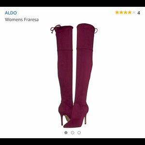 Brand New: Aldo Fraresa Knee High Suede boots